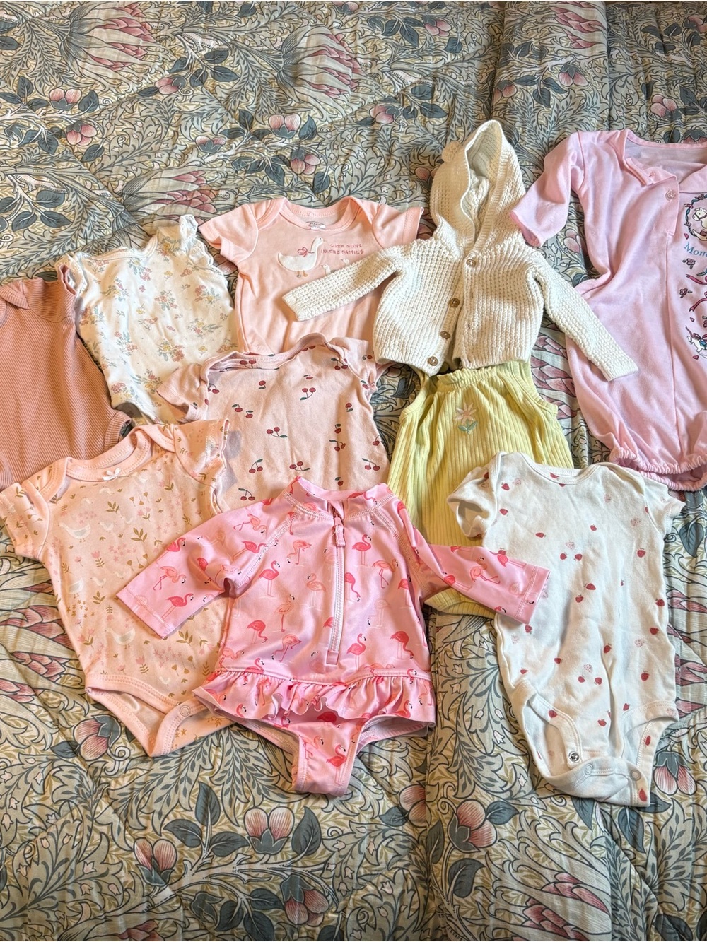 Baby Girl 0-3 Month Clothing Bundle